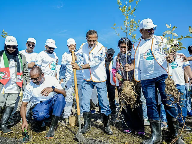 Mega Mangrove Sapling Plantation by Aster Volunteers
